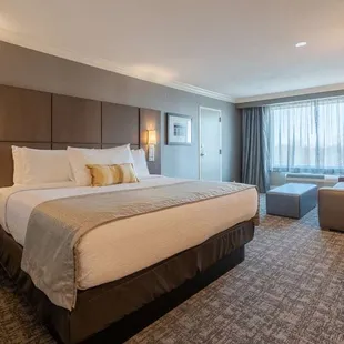 King Suite with Sofa Bed