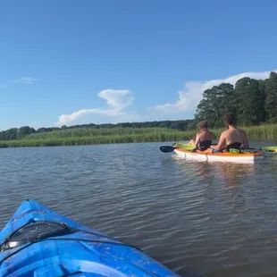 Our kayak tours include single and double kayaks that leave James City County Marina in the calm water of Powhatan Creek behind Jamestown.