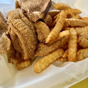Catfish