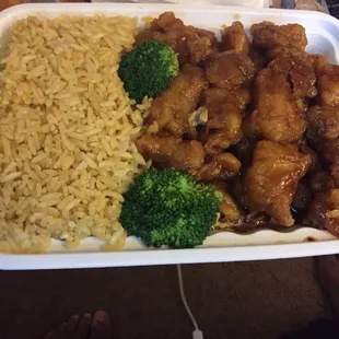 General Tso combination platter