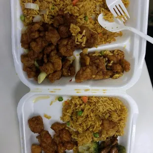 Beef and Broccoli and Gen Tso's Chicken lunch specials