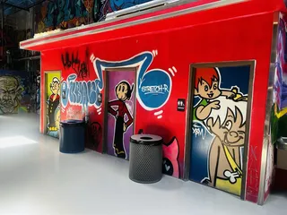 Toon Town Pickleball