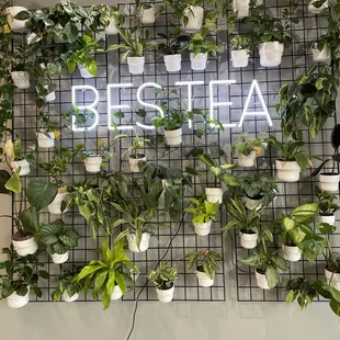 interior, soups and chowder