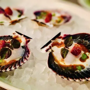 Peruvian Scallop Crudo*