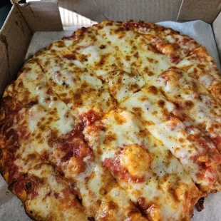 Medium cheese pizza