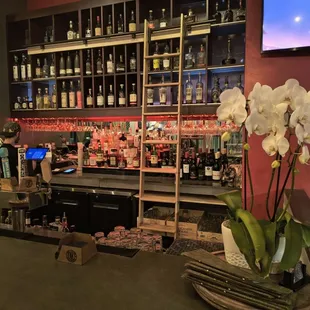 Beta Lounge Bar 2025