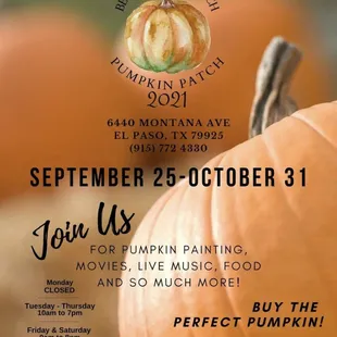 2021 Pumpkin Patch Flyer