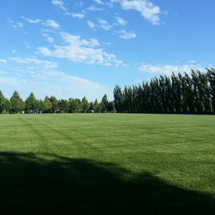 Large field
