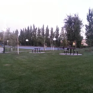 Bethany Park at Dusk