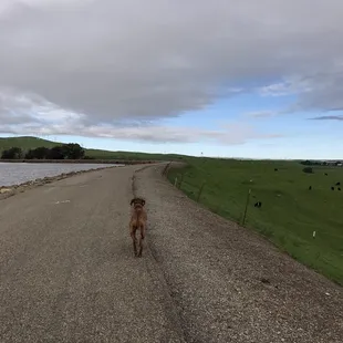 Great place for a walk