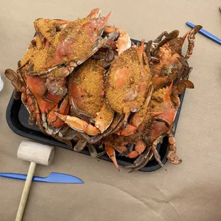 A dozen medium-size blue crabs - amazing!
