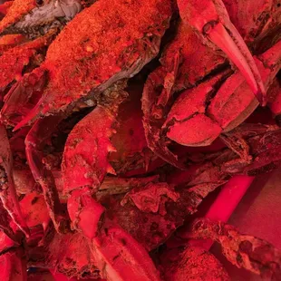 Crabs