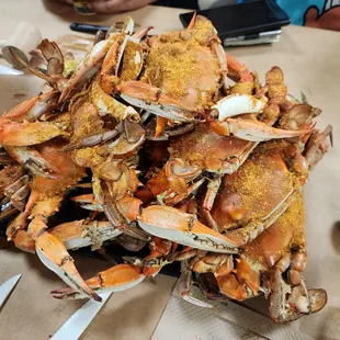 Dozen of Large Crabs