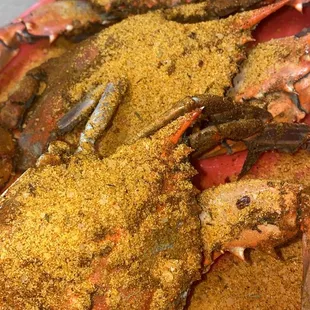 Steamed Blue Crabs