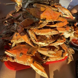 Crabs