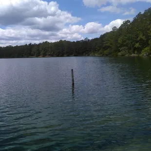 Stocked fishing for us beginners and old timers.