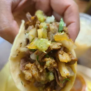 a hand holding a taco