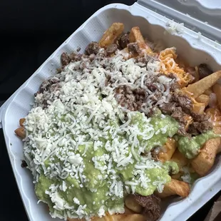 Carne Asada Fries