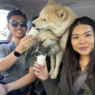 Pup Cup