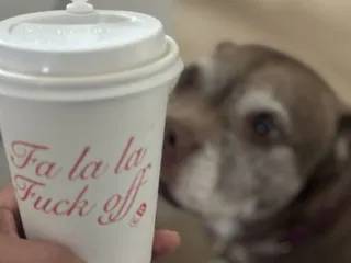 Greenhouse Coffee Bar & Eatery