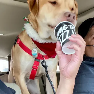 Puppy buzz for Reese
