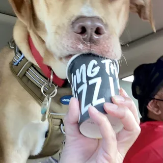 Buzz Life Blend 10oz Medium Roast
