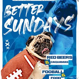 a pug dressed as a football player