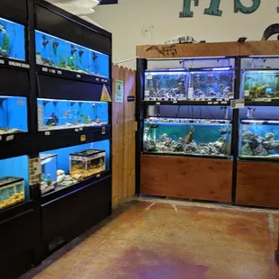 Aquariums