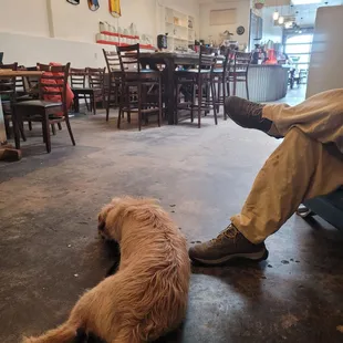 Bowie chillin&apos; at The Betterday