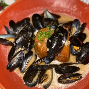 Mussels not greatest size