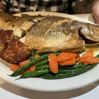 White Sea Bass