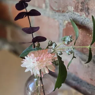 The brick walls are a favorite of mine and I loved this cute, simple arrangement.