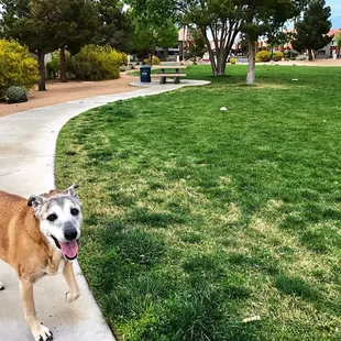 @ Bettye Wilson Soccer Complex - 4/6/18