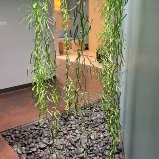 Spa decor