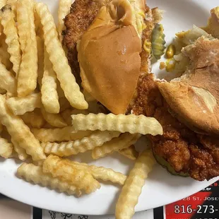 tenderloin &amp; fries