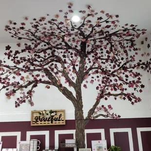 a cherry blossom tree