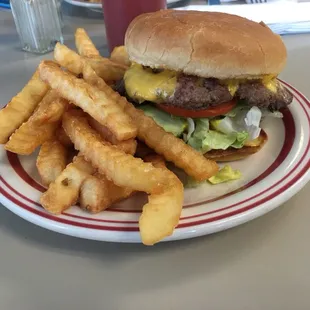 Descent diner burger and fries.