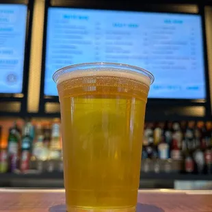 De La Sol - Delahunt Brewing Co. (Lager - Pale)