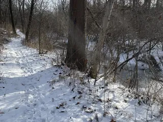 Gray Park