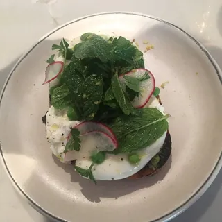 Burrata on Toast