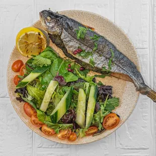 Rainbow Trout