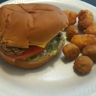 Single Cheese Burger