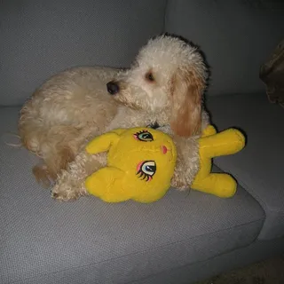Lisa S.
