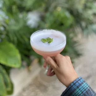 Clover Leaf 04.15.2021