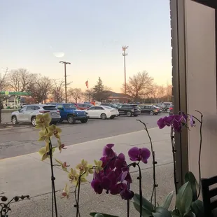a view of a parking lot from a window