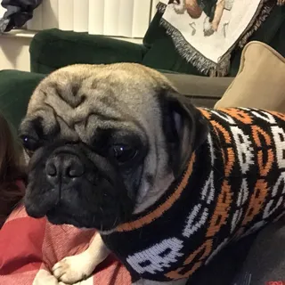 H B.