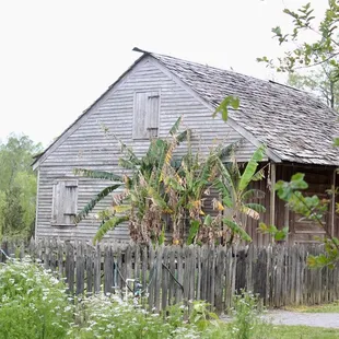 Whitney Plantation