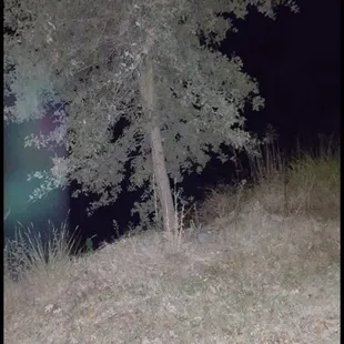 This picture was taken during the Paranormal Investigation and submitted to us.