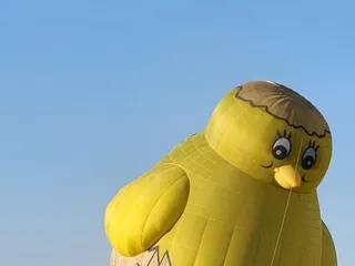 Albuquerque International Balloon Fiesta