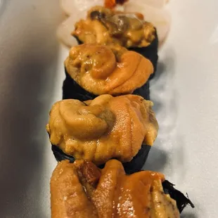 Uni Hotate